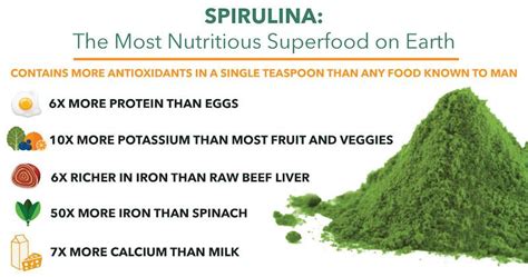 How Does Spirulina Powder Enhance Liver Health? - Knowledge - Xi'an Le ...