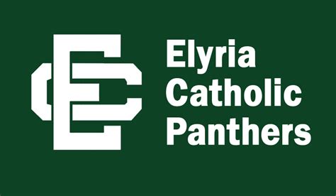 Elyria Catholic vs. North Olmsted baseball: Panthers avoid another ...