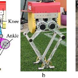 Bipedal robots for simulations and experiments. (a) Simulation model ...