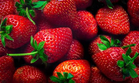 Tout savoir sur les fraises ! - fresh.