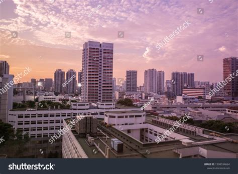 169 Lavender Singapore Images, Stock Photos & Vectors | Shutterstock