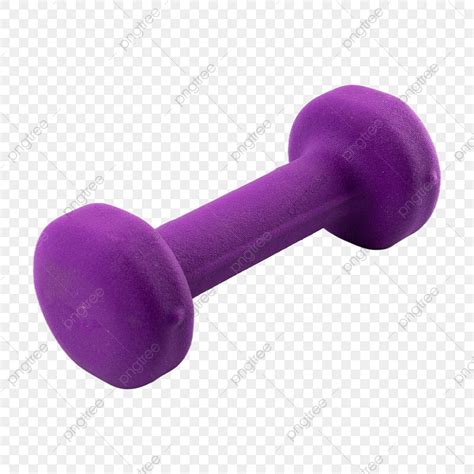 Dumbbell Healthy Weight Still Life Tenacity, Sports Equipment, Exercise, Dumbbells PNG ...