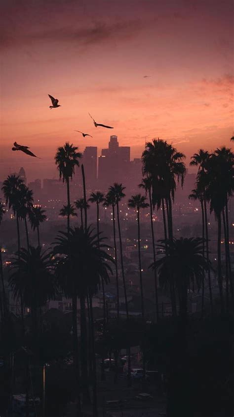 Sunset City iPhone . iPhone in 2019. Los, Hollywood California HD phone ...