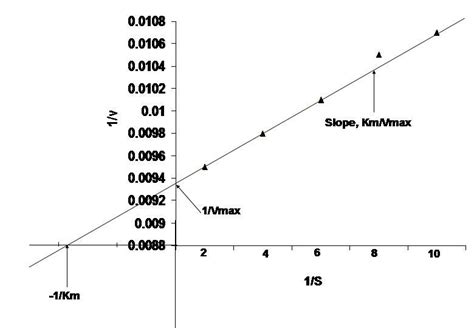 Lineweaver-Burk Plot against substrate concentration 2 mM to 10 mM... | Download Scientific Diagram