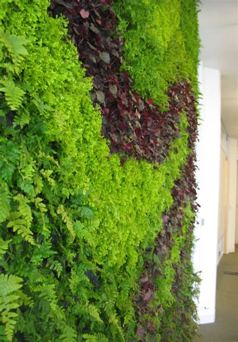 Biophilic Design Is Coming to a Building Near You - Ecological ...