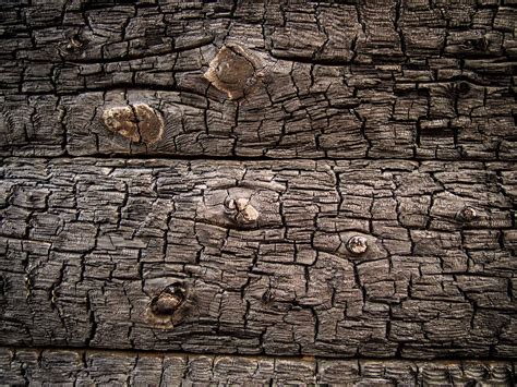 Free photo: Charred Wood Texture - Backdrop, Somadjinn, Natural - Free Download - Jooinn