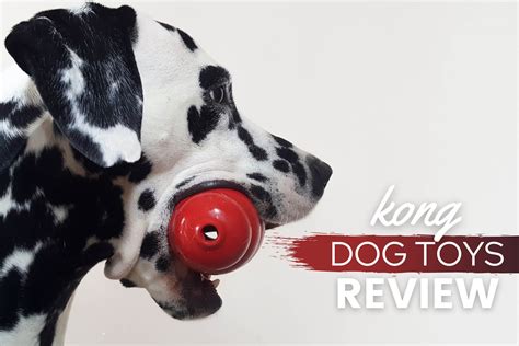 Kong Dog Toys Review: Fun, Durable & Multipurpose? - Canine Bible