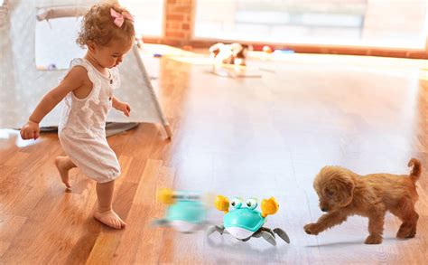 Amazon.com: Baby Toys Toddler Crawling Crab: Interactive Tummy Time Dog Toys for Over 3 Years ...