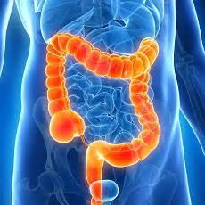 Large Intestine Diseases | Colonic Diseases | MedlinePlus