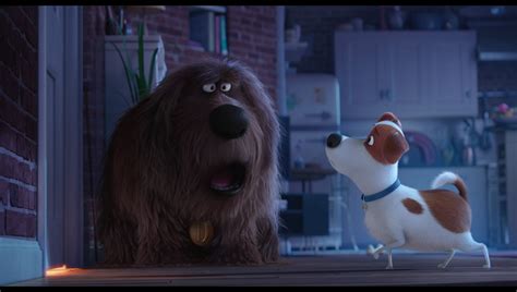 Gavin's Corner: THE SECRET LIFE OF PETS Blu-ray Review