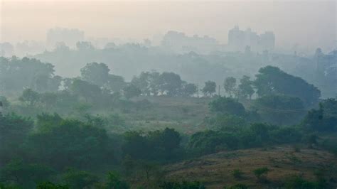 Bihar Weather Update: Patna Records Min Temperature Of 19.4 Degrees ...