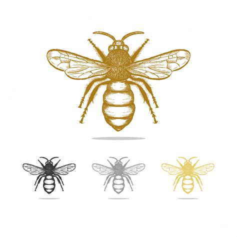 Premium Vector | Vintage bee logo design