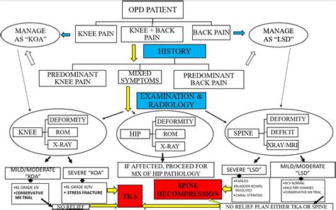 patellofemoral syndrome exercises pdf aaos - Anneliese Delaney