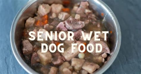 3 best wet dog food for senior dogs