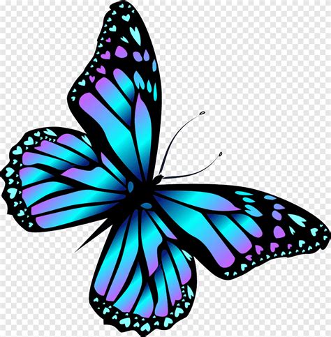 Gráficos de rede portáteis Butterfly, borboleta, roxo, azul png | PNGEgg