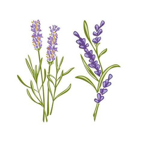 Lavender Flowers Cuttable Design | Apex Embroidery Designs, Monogram ...