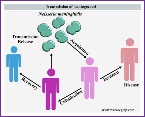 Meningococcal Disease: Types, Treatment, Prevention - We Care