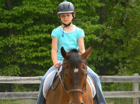 MayMay's Life: Horse Riding Lessons