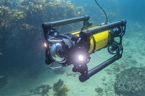 4K ROV footage - Boxfish Video Gallery