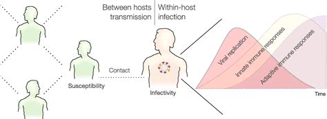 High-resolution epidemic simulation using within-host infection and ...