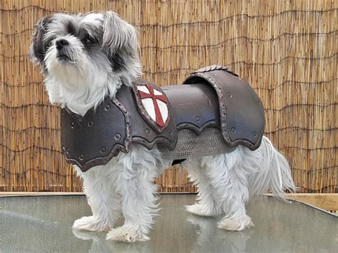 Cosplay DIY Prop Basic Dog Armor / Armour Costume Pattern - Etsy
