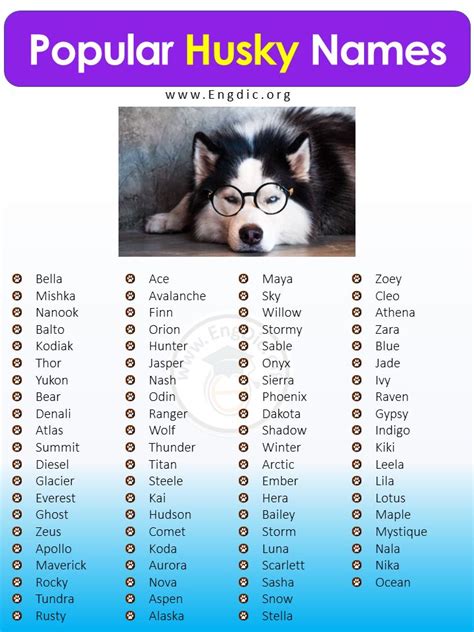 Top Husky Names for Your Unique and Lively Companion