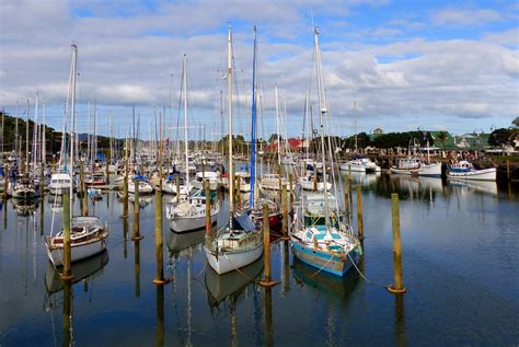 Boat Marina Whangarei. NZ | Sail in Berth your boat in Whang… | Flickr