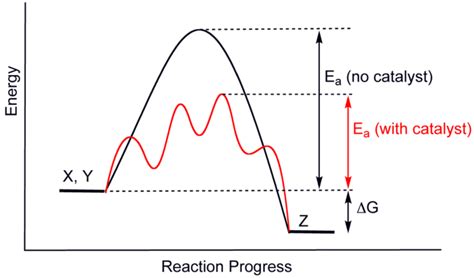 The Effect of a Catalyst | Introduction to Chemistry | | Course Hero