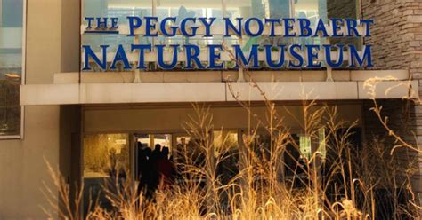 Peggy Notebaert Nature Museum celebrating 166 years - CBS Chicago