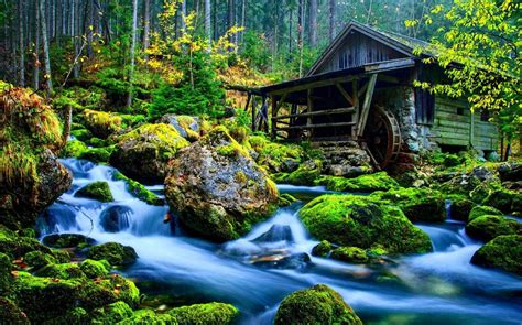 a stream running through a forest filled with green moss covered rocks next to a small cabin