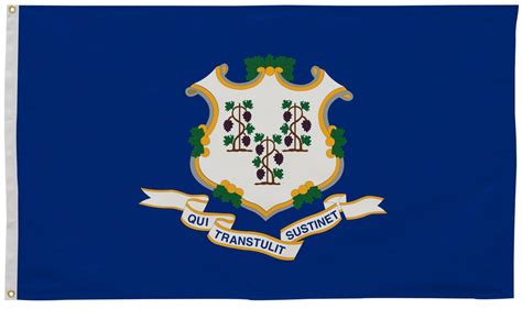 Connecticut State Flag 2' x 3' | Connecticut Flag | State of ...