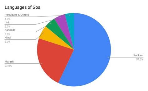 Pie Chart Of Languages Spoken In India