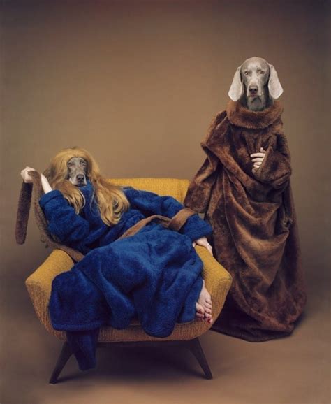 William Wegman and Weimaraners – ARTDEX