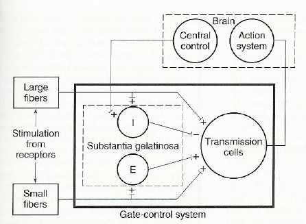 Gate ControlTheory: