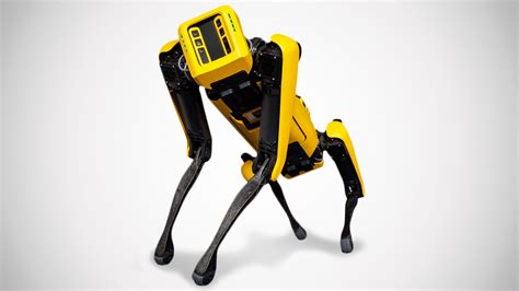 Robot Dogs Are Now Available For Companies To Order | Robots.net