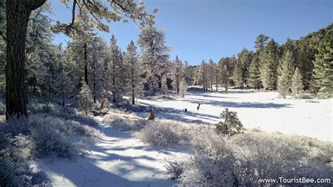 Frazier Park, California - Beautiful meadow covered with snow near Mount Pinos at Chula Vista ...