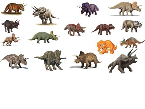 Triceratops: My Favorite Horned Dinosaur : Dinosaurs