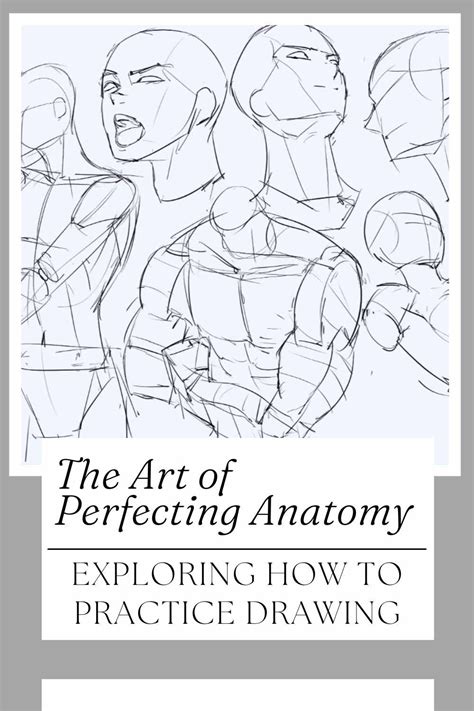 The Art of Perfecting Anatomy: Exploring How to Practice Drawing ...