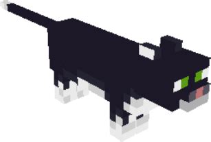 Black Cat | Minecraft Mobs | Tynker