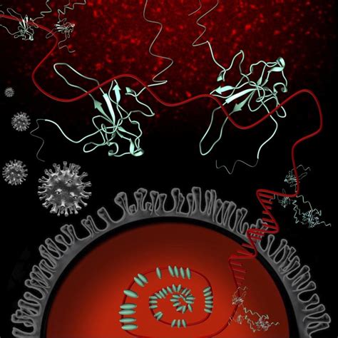 Deep Dive Into Key SARS-CoV-2 Protein Is a Step Toward New COVID-19 Drugs & Vaccines