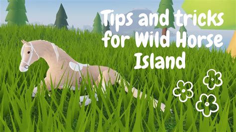 🤍Tips and tricks🤍|| Wild Horse Island || Roblox - YouTube