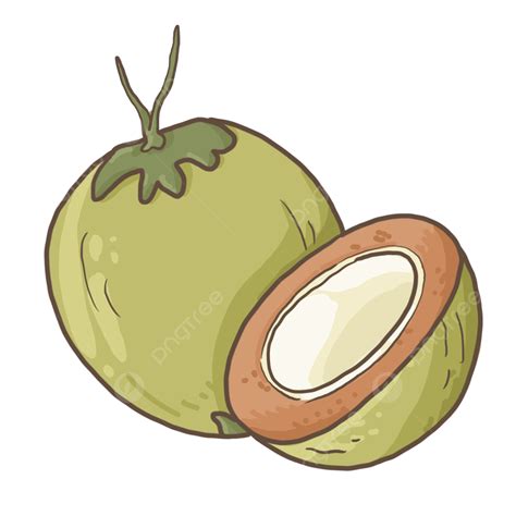 Kelapa Lucu, Kelapa, Imut, Daun Kelapa PNG Transparan Clipart dan File ...