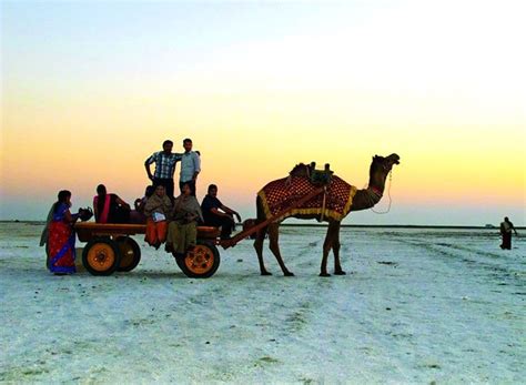 Kutch Rann Utsav Gujarat 2024-25 | Popular Festivals in Gujarat