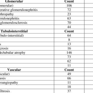 (A) Medium-power magnification of the renal biopsy with normal-looking... | Download Scientific ...