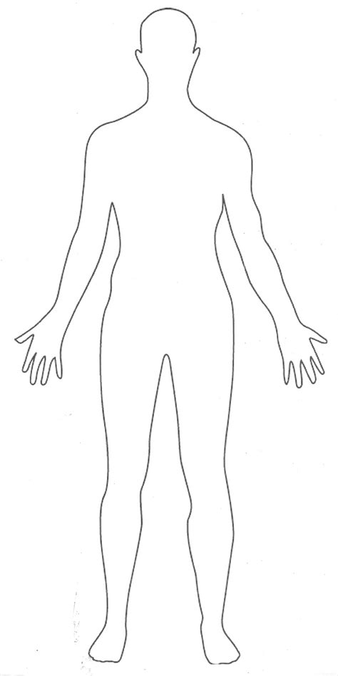 female body outline clipart 20 free Cliparts | Download images on Clipground 2024