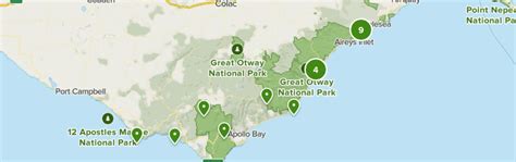 Best bird watching trails in Great Otway National Park, Australia ...