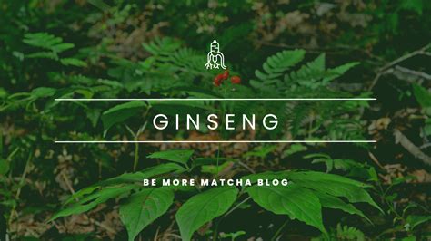 Discover the Benefits of Ginseng: How It Can Improve Mental Performanc