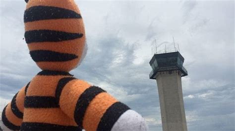 Hobbes the Tiger's excellent adventure | Fox News