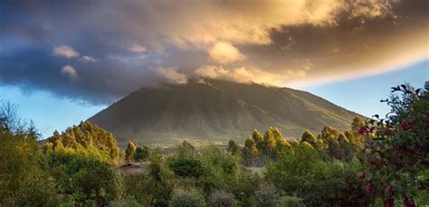 Exploring The Majestic Beauty Of Volcanoes National Park In Rwanda