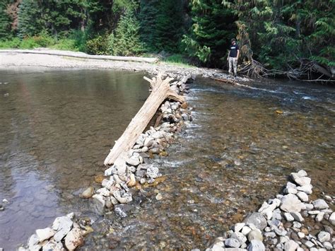 Fish biologists ask recreators not to build rock dams in local rivers ...